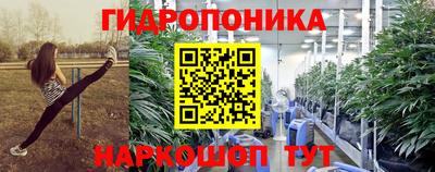 эйфоретик Бердск